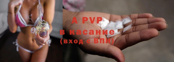 кокс Нея