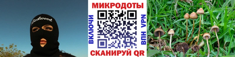 Галлюциногенные грибы Psilocybe  Усолье-Сибирское 
