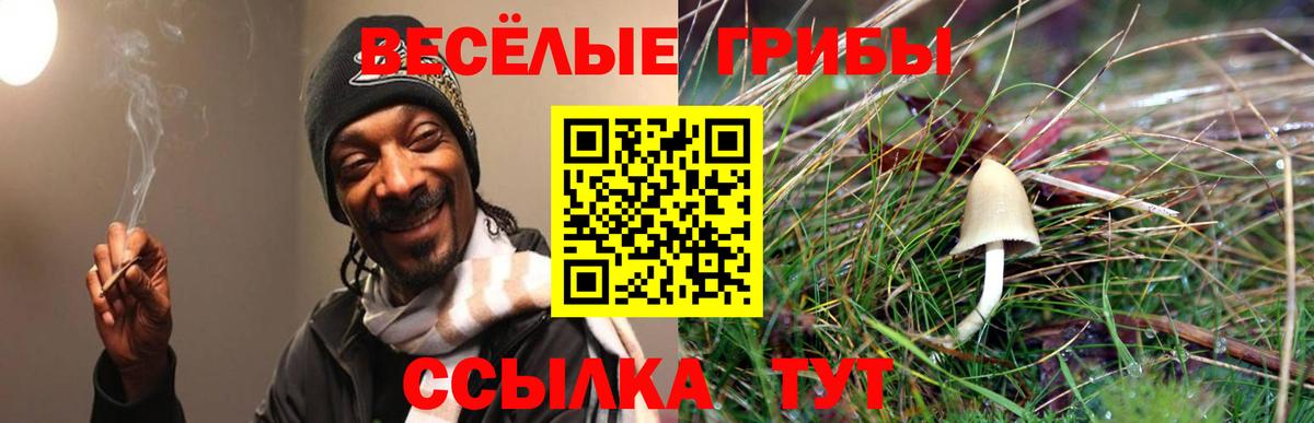 Псилоцибиновые грибы MAGIC MUSHROOMS Усолье-Сибирское
